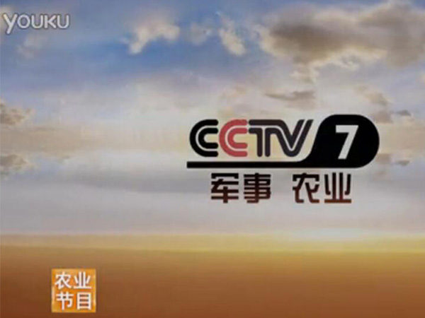 HY590海洋中心品牌 喻鹏CCTV-7《乡约》湖南岳阳君山爱情岛