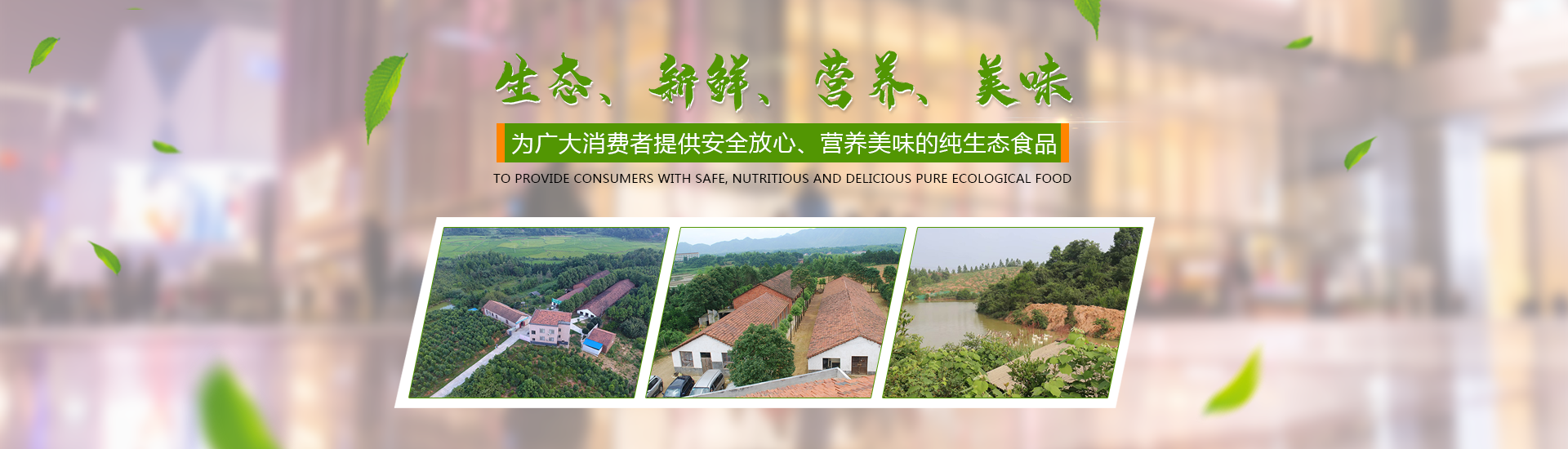 首页banner3